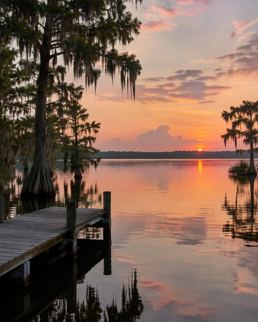 Lake County cypress trees and a wooden dock at dusk