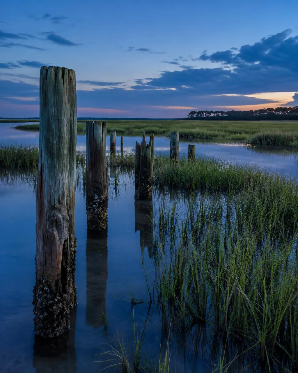 Levy County Gulf coast salt marsh at blue hour